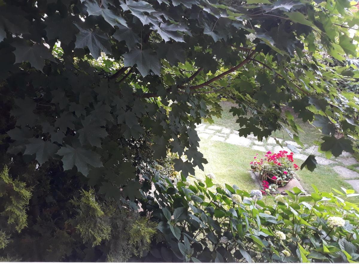Il Melograno Bed and Breakfast Borgo San Dalmazzo Εξωτερικό φωτογραφία